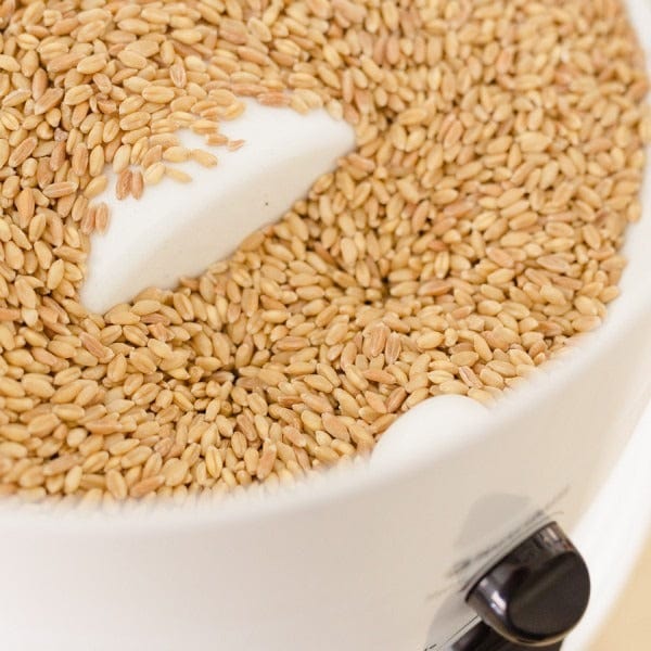 Nutrimill Classic Grain Food Mill 760200 - So Easy 12 Cups of Grain Gives you 20 Cups of FRESH Flour! - Image 4